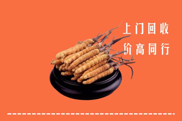 高价求购：王益区回收散虫草