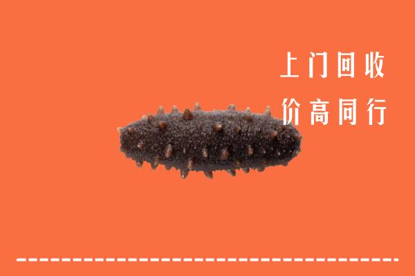 高价求购：王益区回收海参