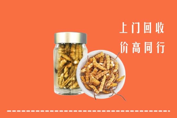 王益区回收冬虫夏草